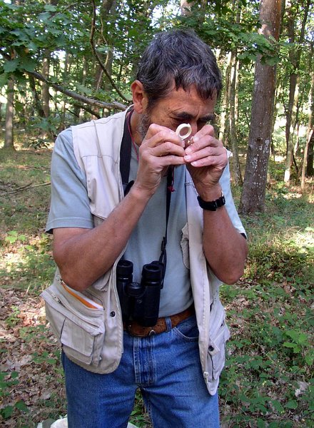 2009 07 Myco Gros taillis 16